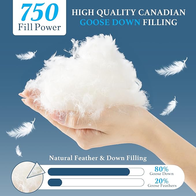 Canadian White Goose Down Pillow Standard Size- 750+ Fill Power, Soft Down Pillows for Sleeping, Fluffy Hotel Luxury Bed Pillows for Neck Pain Relief, Side Sleeper Pillow (1 Pack, 20"x26")