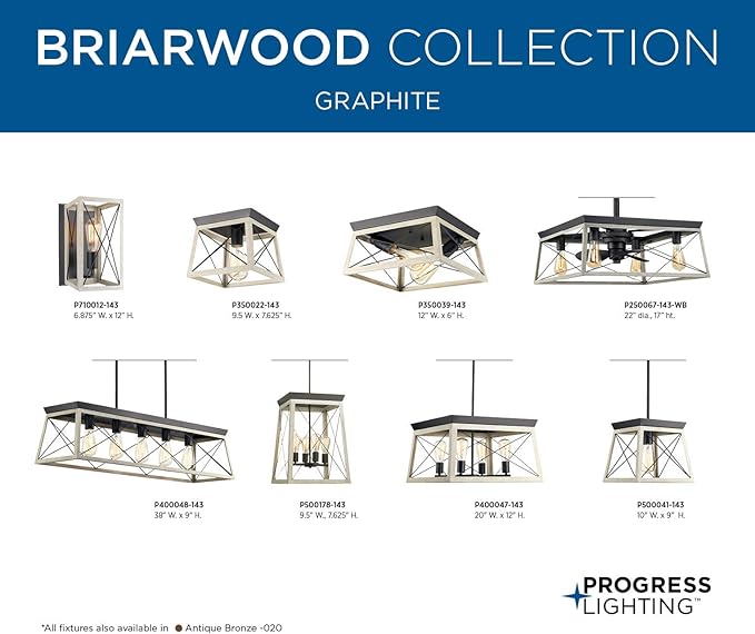 Progress Lighting P710012-143 Briarwood Graphite One-Light Wall Sconce, , Black
