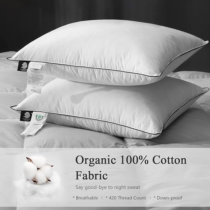 DWR Goose Feather Down Core Pillow Surrounded by Polyester 2 Pack, 100% Organic Cotton Covered, Medium Support, Queen Size Bed Pillow Inserts(20x30, Set of 2)