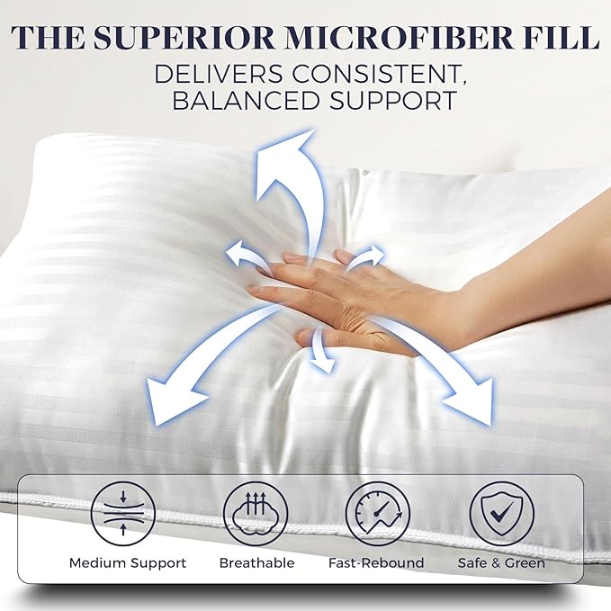 Basic Beyond Queen Size Pillows Set of 2 - Soft 20 x 28 Inches Down Alternative Pillows Queen Size Set of 2 for Back, Stomach or Side Sleepers