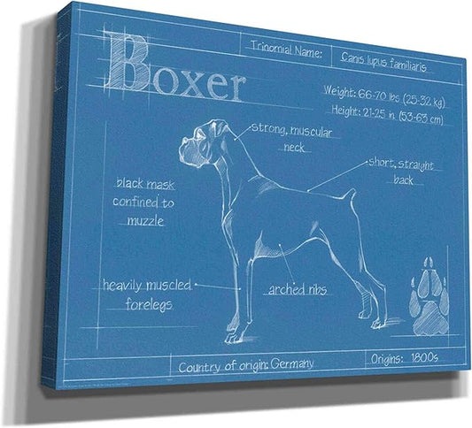 Epic Graffiti 'Blueprint Boxer' by Ethan Harper Canvas Wall Art, 54"x40"