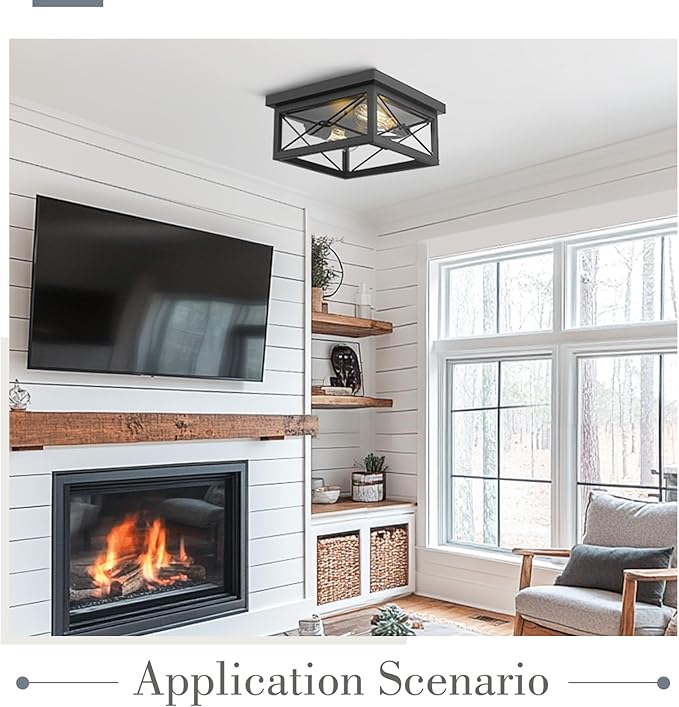 Emliviar 12 Inch Ceiling Light Fixture, 2-Light Flush Mount Ceiling Light in Black Finish, 0387B-CL BK