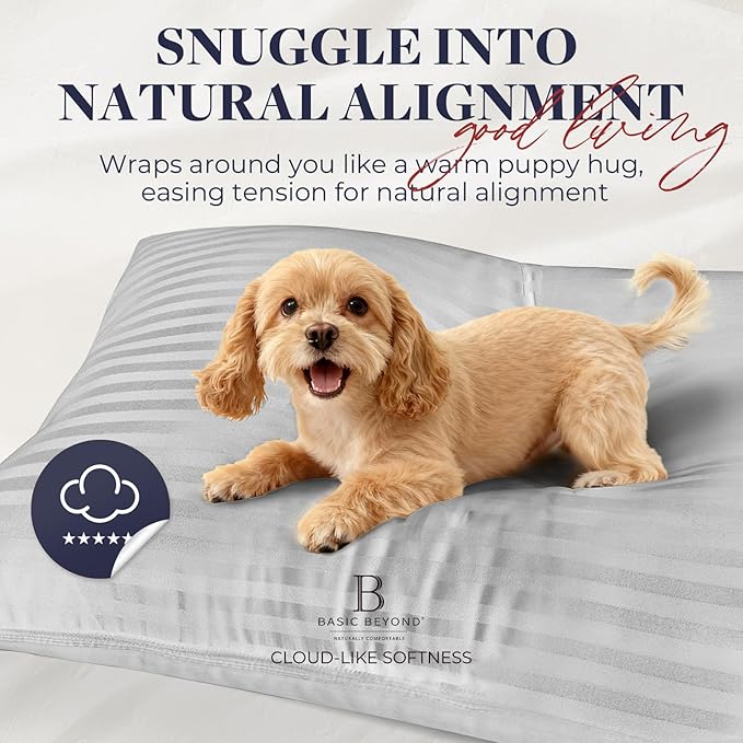 Basic Beyond King Size Pillows - Soft King Down Alternative Pillows Set of 2 for Back, Stomach or Side Sleepers, Silver, 20x36 Inches