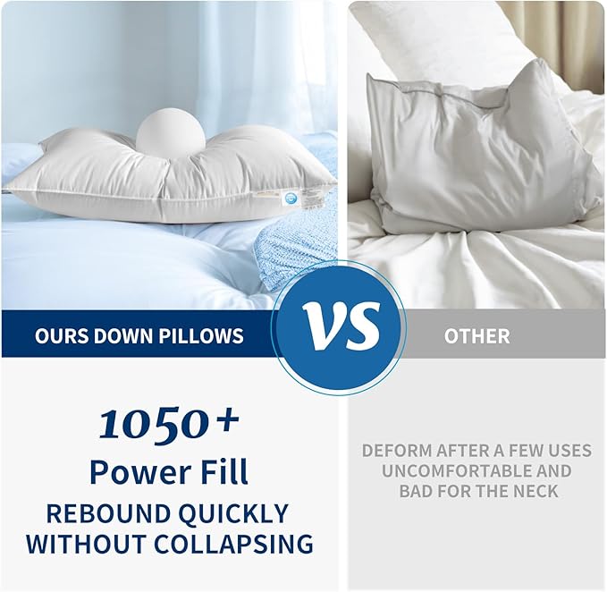 Canadian Luxury Goose Down Pillow King Size - 1050 Fill Power, 100% Cotton with Teflon Shell- Ultra Comfort Sleep Pillows - Bed Pillows for Back, Stomach, Side Sleeper(White,King(Pack of 2))