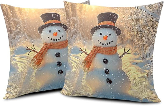 Winter Pillow Covers Snowman in The Sunshine Throw Pillow Covers 20x20 Snowflakes Pillow Case Double Sided Printing Cushion Case for Home Decor Couch Sofa Set of 2