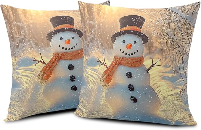 Winter Pillow Covers Snowman in The Sunshine Throw Pillow Covers 18x18 Snowflakes Pillow Case Double Sided Printing Cushion Case for Home Decor Couch Sofa Set of 2