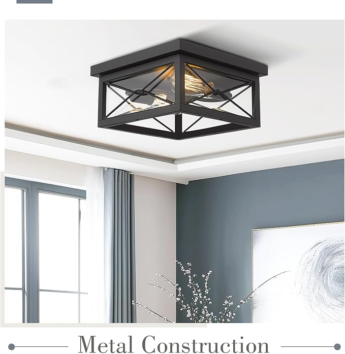Emliviar 12 Inch Ceiling Light Fixture, 2-Light Flush Mount Ceiling Light in Black Finish, 0387B-CL BK
