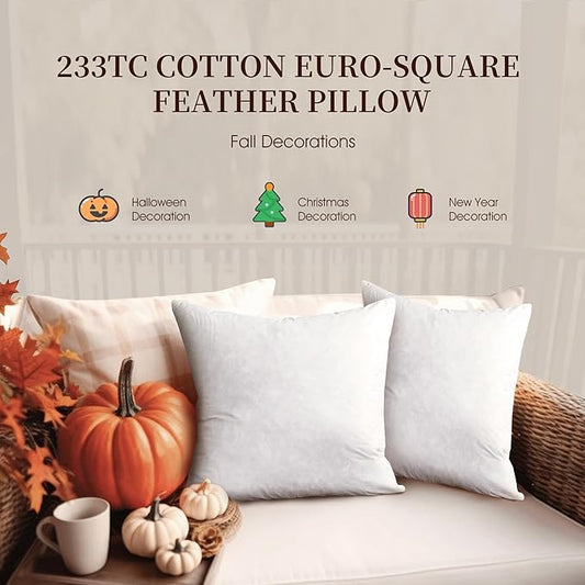 Blue Ridge Home Fashions Feather Down Pillow Square Euro Size Set of 2 Pack Customized Halloween/Christmas Decorations Throw Pillow for Livingroon/Bedroom