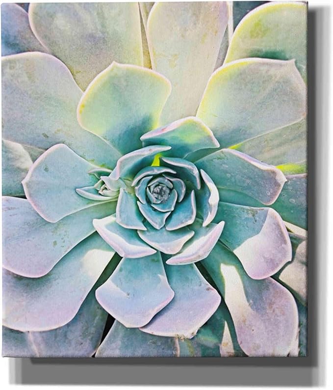 Epic Graffiti 'Unique Succulent' by Irena Orlov, Canvas Wall Art, 26"x30"