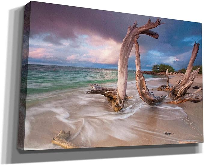 Epic Graffiti 'Driftwood Sunset' by Katherine Gendreau, Canvas Wall Art, 60"x40"