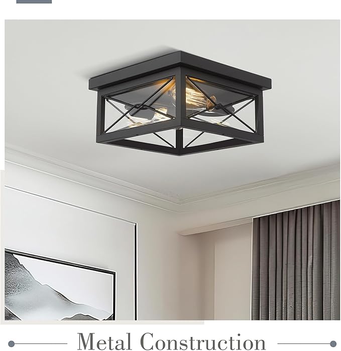 Emliviar 12 Inch Ceiling Light Fixture, 2-Light Flush Mount Ceiling Light in Black Finish, 0387B-CL BK