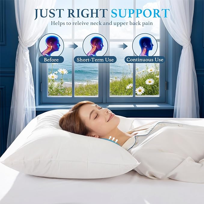Canadian White Goose Down Pillows Standard Size Set of 2-750+ Fill Power, Soft Down Pillow for Sleeping, Fluffy Hotel Luxury Bed Pillows for Neck Pain Relief, Side Sleeper Pillow - 20"x26"