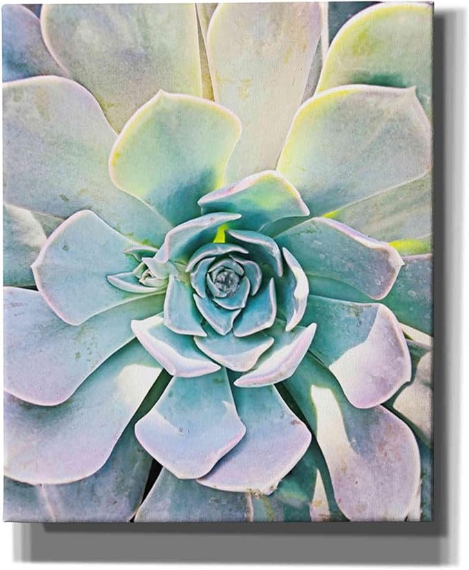 Epic Graffiti 'Unique Succulent' by Irena Orlov, Canvas Wall Art, 12"x16"