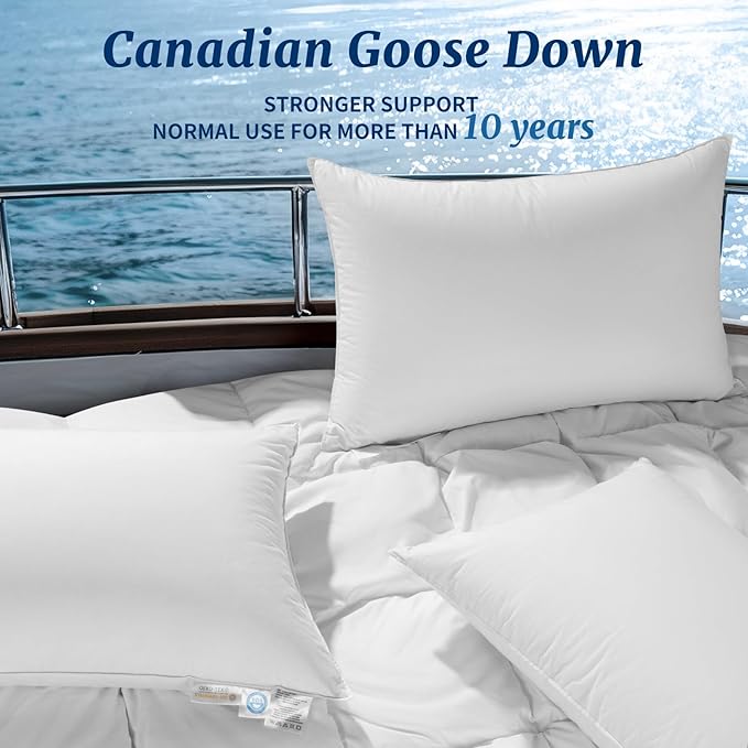 Canadian Luxury Goose Down Pillow Queen Size - 900 Fill Power, 100% Cotton with Teflon Shell- Ultra Comfort Sleep Pillows - Bed Pillows for Back, Stomach, Side Sleeper(White,Queen(Pack of 1))