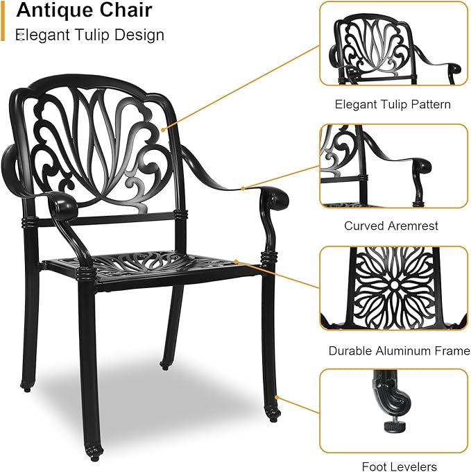 Outdoor Dining Chairs Cast Aluminum, Patio Dining Chairs Set of 2, Conversation Furniture Set for Backyard, Black