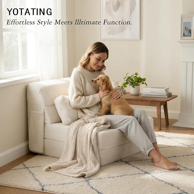Folding Sofa Bed with Pillow, Convertible Sleeper Chair, Comfy Floor Futon Couch Mattress Lounge Sofa for Adults Portable Fold Out Chair Bed for Living Room Bedroom, Single, Beige