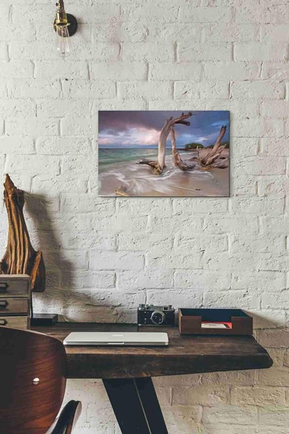 Epic Graffiti 'Driftwood Sunset' by Katherine Gendreau, Canvas Wall Art, 18"x12"