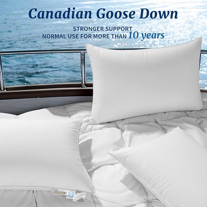 Canadian Luxury Goose Down Pillow Standard Size, 750 Fill Power, 100% Cotton with Teflon Shell- Ultra Comfort Sleep Pillows - Bed Pillows for Back, Stomach(White,Standard(Pack of 2))