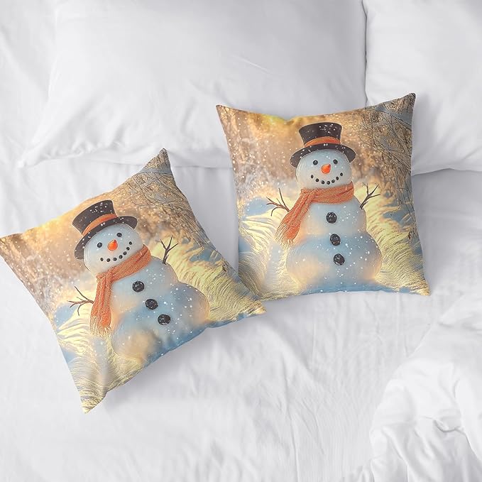 Winter Pillow Covers Snowman in The Sunshine Throw Pillow Covers 16x16 Snowflakes Pillow Case Double Sided Printing Cushion Case for Home Decor Couch Sofa Set of 2
