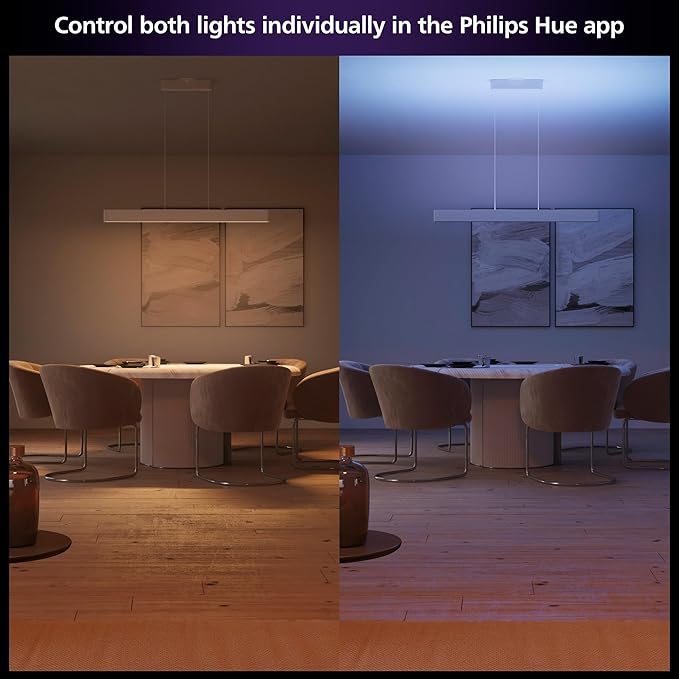 Philips Hue Ensis Smart LED Pendant Light White, Two Light Sources, White & Color Light, Bluetooth Compatible, Voice Control with Alexa, Apple Home & Google Assistant