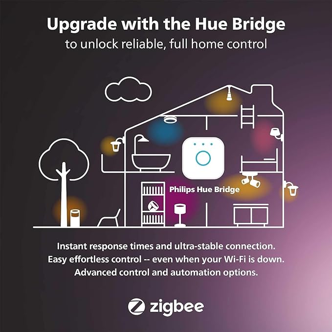 Philips Hue Play White & Color Smart Light Extension, Hub Required/NO Power Supply Included (Smart Lighting Compatibility with Amazon Alexa, Apple Homekit & Google Home)