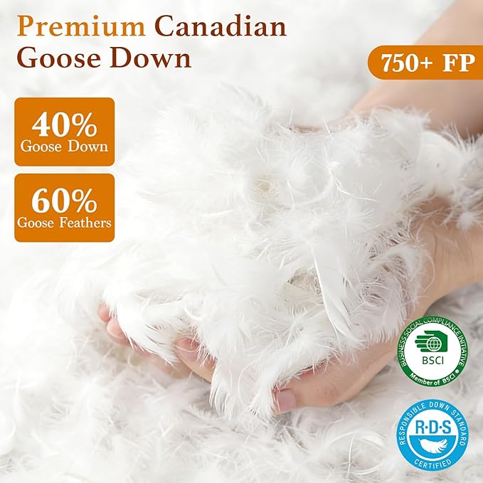 Premium Canadian Goose Down Pillow Standard Size Set of 1 Pack, 750+ Fill Power, 100% Cotton Shell, Luxury Hotel Quality Bed Feather Pillow for Side Back Stomach Sleepers(White,20" x 26")