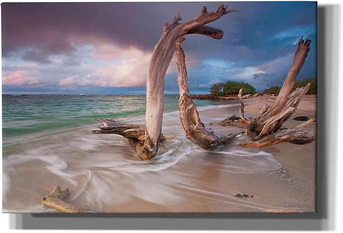 Epic Graffiti 'Driftwood Sunset' by Katherine Gendreau, Canvas Wall Art, 60"x40"