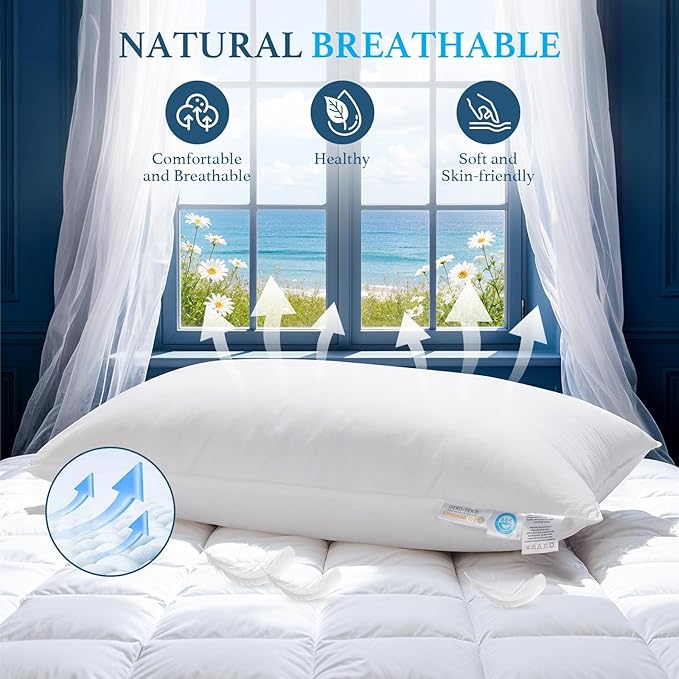 Canadian White Goose Down Pillow Standard Size- 750+ Fill Power, Soft Down Pillows for Sleeping, Fluffy Hotel Luxury Bed Pillows for Neck Pain Relief, Side Sleeper Pillow (1 Pack, 20"x26")