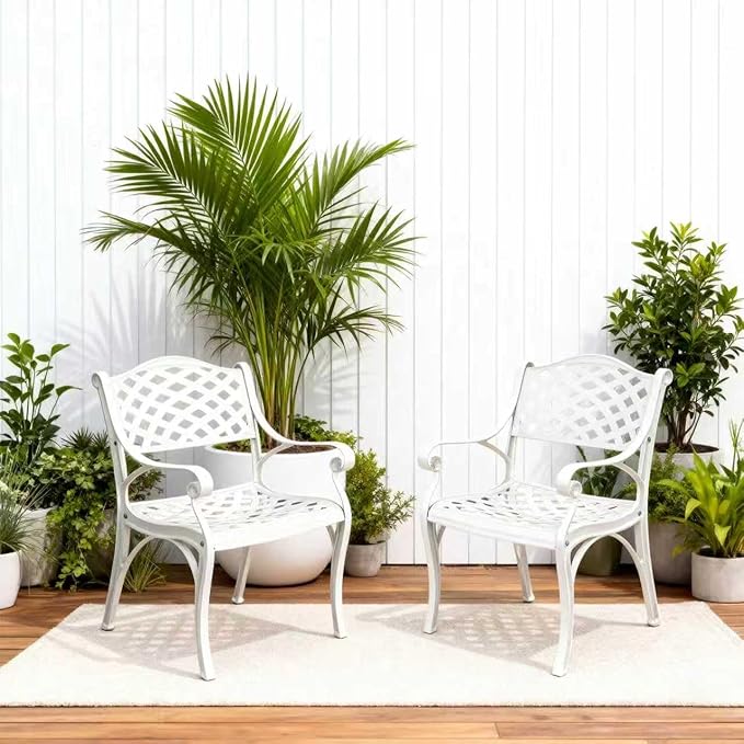 Cast Aluminum Patio Chairs of 2, Outdoor Dining Chairs Set, Aluminum Patio Chairs with Armrest for Garden, Backyard, Poolside, Balcony