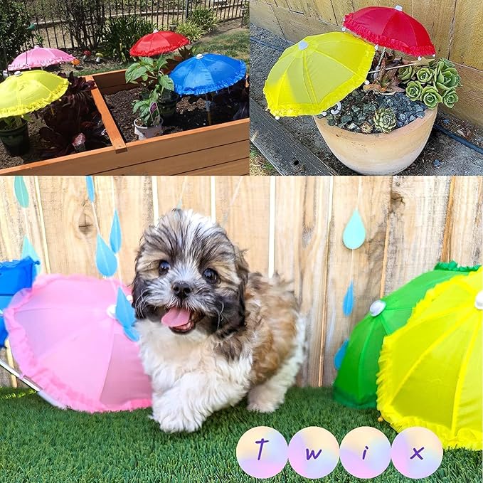 Framendino, 5 Pack 11 Inch Mini Umbrella for Home Photography Props Decoration Outdoor Plants Assorted Rainbow Colors