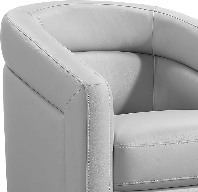 Armen Living Desi Contemporary Leather Swivel Living Room Accent Chair, 32" Wide, Dove Gray,LCDSCHDV