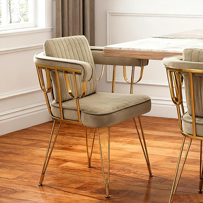 Set of 2 Desk Chair No Wheels Accent Makeup Vanity Chairs with Gold Back & Legs, Velvet Upholstered Armchair with Extra Pillow for Girls Bedroom Dressing Room Nail Salon Living Room, Greyish Brown