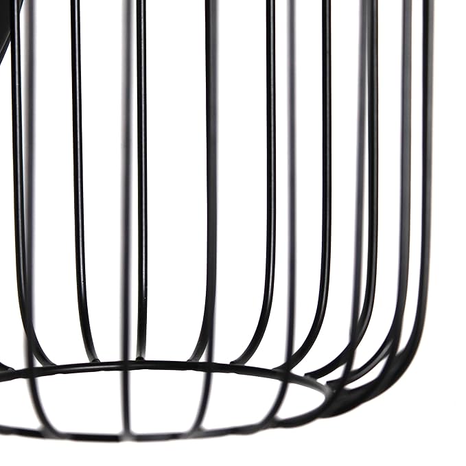 Elegant Designs SC1001-BLK 10.5" Industrial Farmhouse Metal Birdcage Wall Sconce with Matching Metal Oval Backplate Wall Mounted, Black