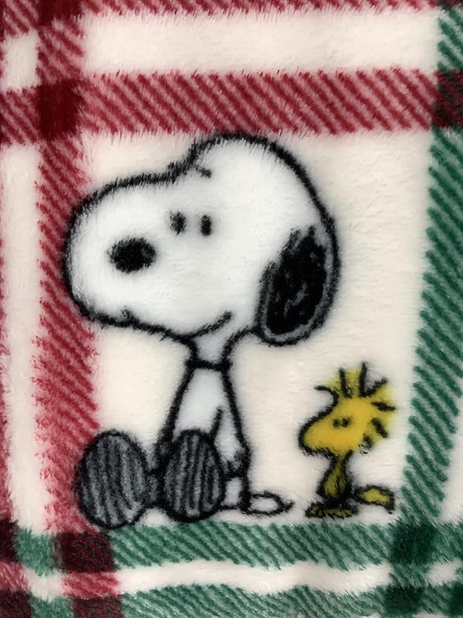 Berkshire Blanket & Home Co Peanuts Winter Blanket, Polyester (Green & Red Gridlines with Characters, Twin)