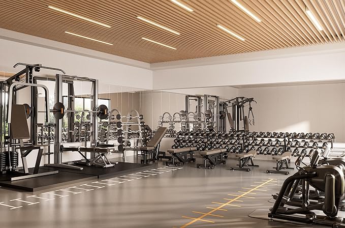 TETOTE Gym Mirrors for Home Gym Wall Large 65" x 22" - 2PCS Workout Exercise Fitness Mirror, Tempered Glass Frameless Full Length Mirror for Garage, Dance Studio, Yoga, Bedroom, Living Room
