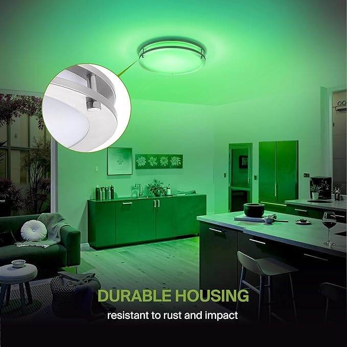 ASD LED 16" Round Flush Mount Lighting, Close to Ceiling Light Fixture | Smart, Multicolor, Dimmable, ETL Listed | 24W 1575LM RGB-2700-6500K 120V | Low Profile Double Ring Lamp | Nickel, 2 Pack