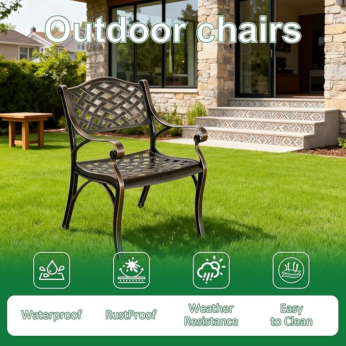 Cast Aluminum Patio Chairs of 2, Outdoor Dining Chairs Set, Aluminum Patio Chairs with Armrest for Garden, Backyard, Poolside, Balcony