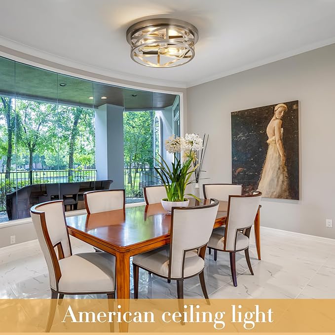 Brushed Nickle Flush Mount Ceiling Light Fixture, 2-Pack Metal Cage Close to Ceiling Lights, Modern 11 Inch E26 Base Indoor Kitchen Ceiling Lights for House Hallway Bedroom