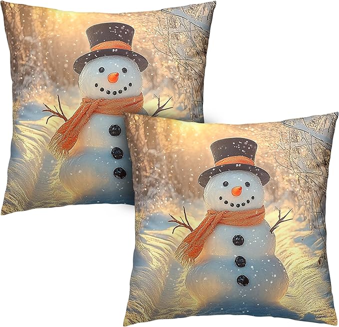 Winter Pillow Covers Snowman in The Sunshine Throw Pillow Covers 16x16 Snowflakes Pillow Case Double Sided Printing Cushion Case for Home Decor Couch Sofa Set of 2