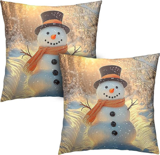 Winter Pillow Covers Snowman in The Sunshine Throw Pillow Covers 16x16 Snowflakes Pillow Case Double Sided Printing Cushion Case for Home Decor Couch Sofa Set of 2