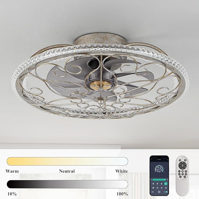 NORFOLK Low Profile Ceiling Fans with Lights and Remote, 20'' Flush Mount Lighting Fan, Smart Bladeless Caged Fandelier, 3 Colors Dimmable LED and 6 Speeds