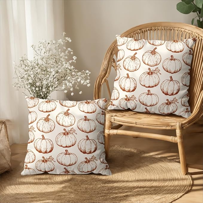 Fall Pumpkin Outdoor Pillow Covers 22x22 Set of 2 Autumn Thanksgiving Harvest Throw Pillows Case Burnt Orange White Farmhouse Fall Holiday Cushion Covers for Sofa Couch Bed Decor