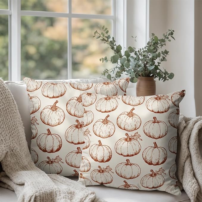 Fall Pumpkin Outdoor Pillow Covers 18x18 Set of 2 Autumn Thanksgiving Harvest Throw Pillows Case Burnt Orange White Farmhouse Fall Holiday Cushion Covers for Sofa Couch Bed Decor