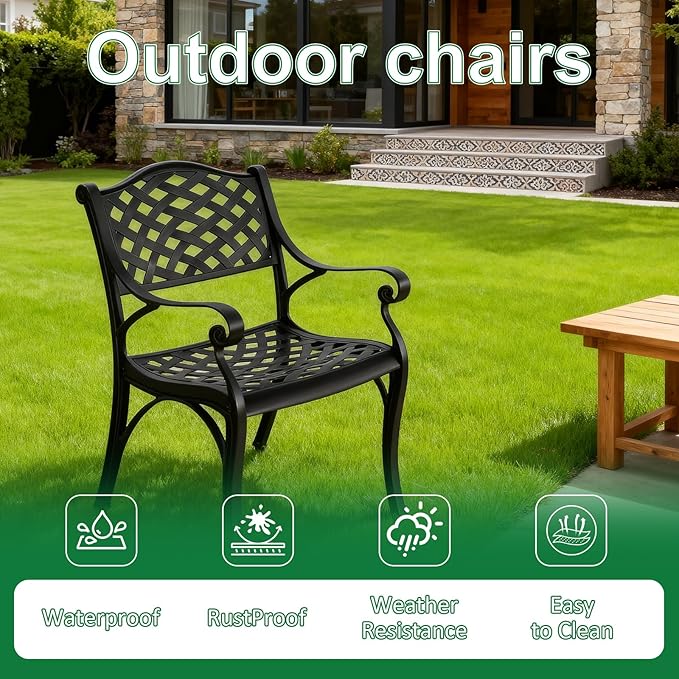 Cast Aluminum Patio Chairs of 2, Outdoor Dining Chairs Set, Aluminum Patio Chairs with Armrest for Garden, Backyard, Poolside, Balcony