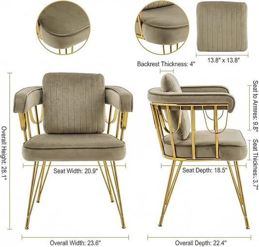 Set of 2 Desk Chair No Wheels Accent Makeup Vanity Chairs with Gold Back & Legs, Velvet Upholstered Armchair with Extra Pillow for Girls Bedroom Dressing Room Nail Salon Living Room, Greyish Brown
