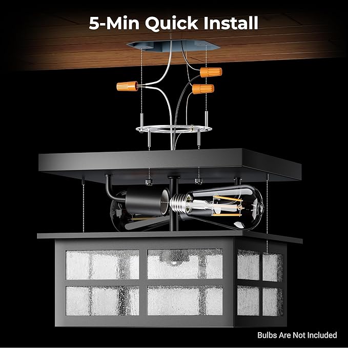 VIANIS Motion Sensor Outdoor Ceiling Light with Remote Control, 2-Light Black Modern Outdoor Flush Mount Light for Garage, Porch, Entryway, Square, Upgraded 5 Lighting Modes Adjustable Distance Time