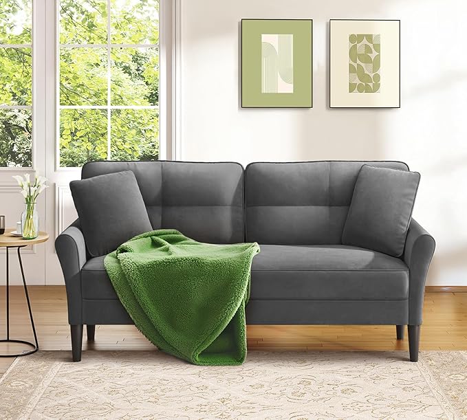 Loveseat Sofa, 69" Love Seat Couches, Comfy Velvet Small Couches for Small Spaces with 2 Pillows, Tool-Free Setup Sofas & Couches, 700lb Load Sofas for Living Room, Mini Couch for Bedroom, Grey Couch