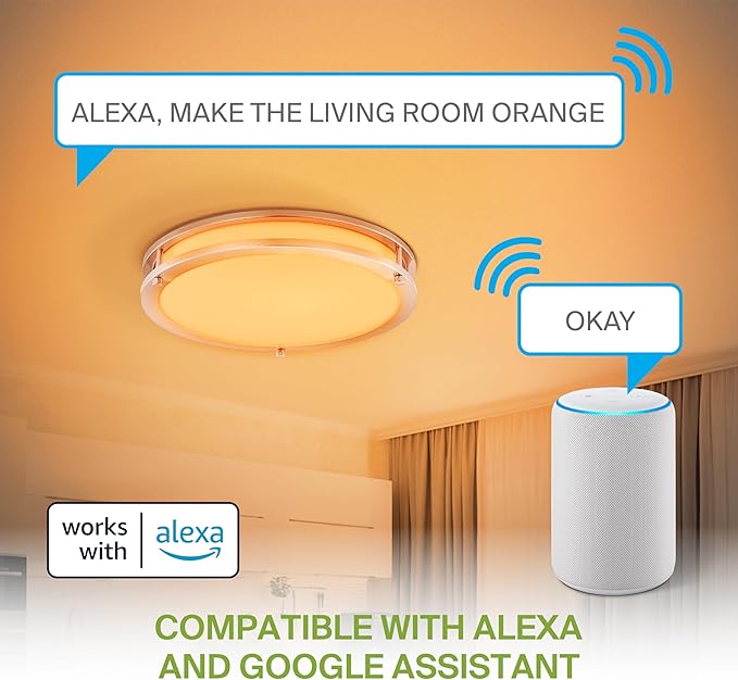 ASD LED 16" Round Flush Mount Lighting, Close to Ceiling Light Fixture | Smart, Multicolor, Dimmable, ETL Listed | 24W 1575LM RGB-2700-6500K 120V | Low Profile Double Ring Lamp | Nickel