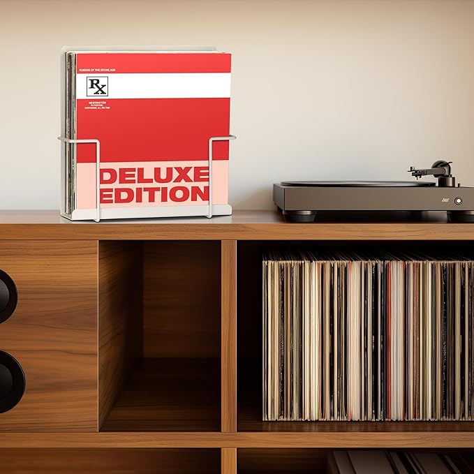 Vinyl Display Holder 2pk - Matte White Record Shelf - Wall Mount - Fits 30 LP's - Minimalist Steel Shelves - Organizer Stand - Frame Album Art