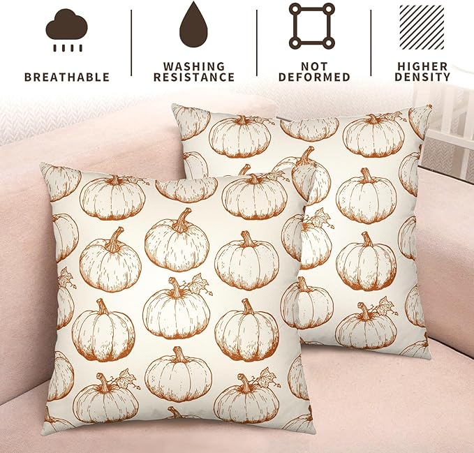 Fall Pumpkin Outdoor Pillow Covers 20x20 Set of 2 Autumn Thanksgiving Harvest Throw Pillows Case Burnt Orange White Farmhouse Fall Holiday Cushion Covers for Sofa Couch Bed Decor